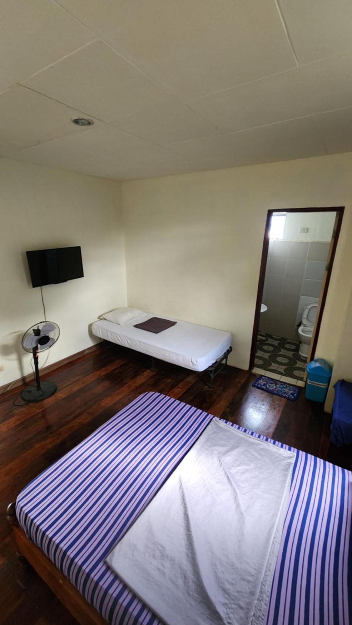 בוסואנגה Screaming Gecko Hostel מראה חיצוני תמונה