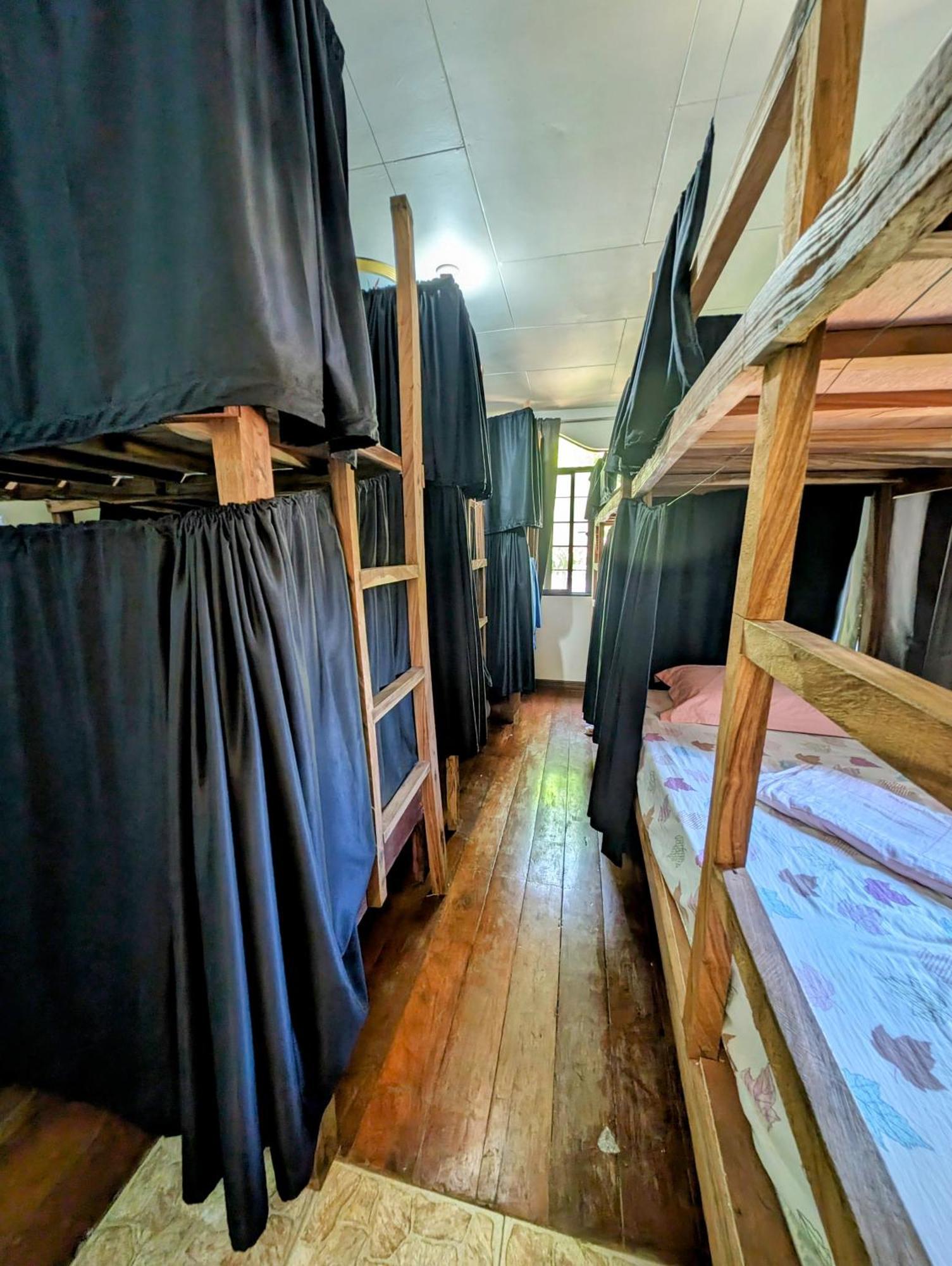 בוסואנגה Screaming Gecko Hostel מראה חיצוני תמונה